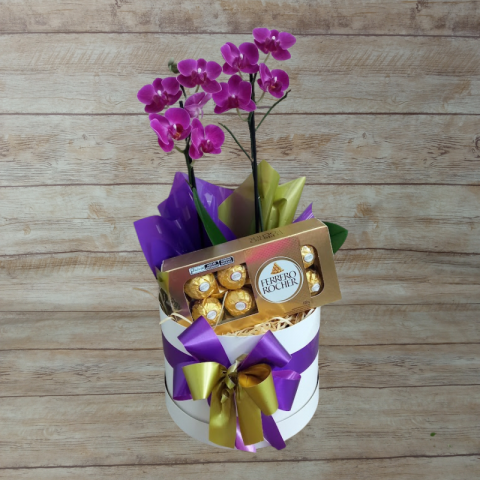 Mini Orquídea 2 Hastes Pote 9 - Cor Variada + Chocolate